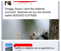 Silly quotes