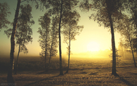 Yellow sky