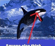 Anyone else fell for this