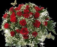 Sparkling Red Roses