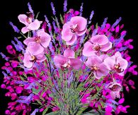 Sparkling Pink Bouquet