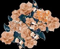 Color Changing Roses