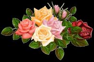 Sparkling Colorful Roses