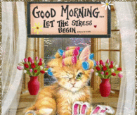 Good Morning Let the Stress Begin