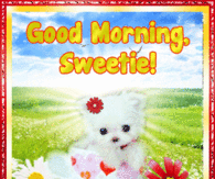 Good Morning Sweetie