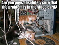 PC Cats