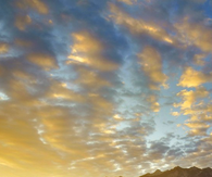Beauty of nature