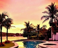 Tropical Reflection