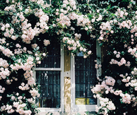 Charming Entry with Climbing Roses