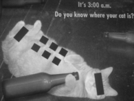 It's 3:00 a.m. Do you know where your cat is?