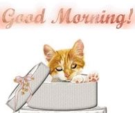 Good Morning