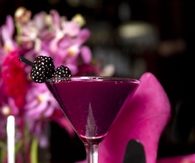 Blackberry Cocktail & Pink High Heels