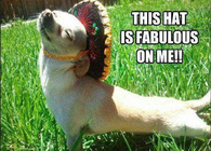 This hat is fabulous on me