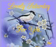 Lovely Saturday for you My Dear Friend