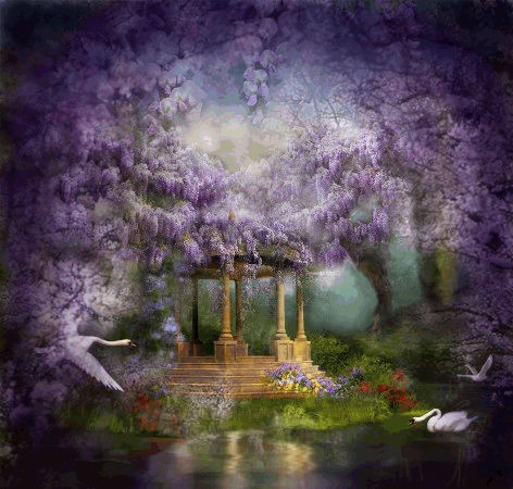 Beautiful Swan Lake