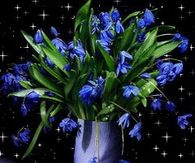 Sparkling Blue flowers