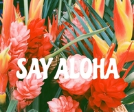 Say aloha