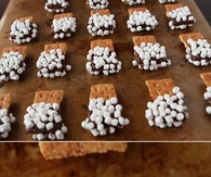 Smores Mini Dippers