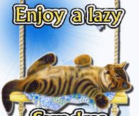 Enjoy a lazy Sunday