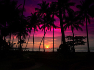Pink Sunset