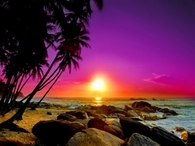 Pink Sunset over the Ocean