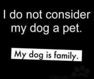 my dog is family