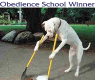 Obedience school winner