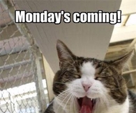 Hide Monday Is Coming