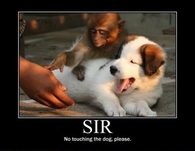 Sir please 
