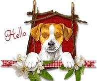 Hello Good Morning