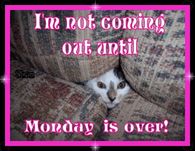 I'm not coming out until Monday is over!