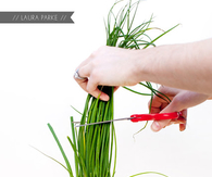 DIY Herb Hostess Gift