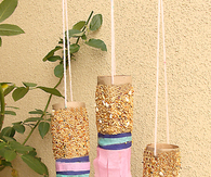 Bird feeder Toilet Paper Tube Craft