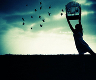 Fly away birds