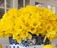 Yellow centerpiece
