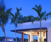 Modern Back Yard