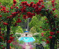 Garden Pool