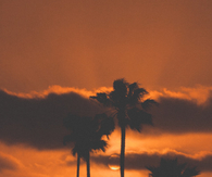 Dark Orange California Sunset