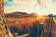 Country Sun