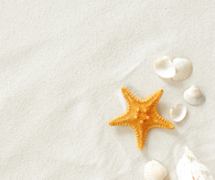Summer Treasures
