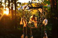 Dream Catcher