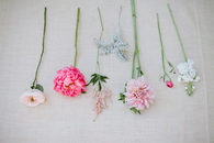 Summer Flowers