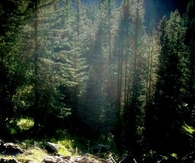Glittering pond