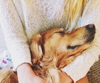 Animal love