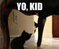 Yo kid