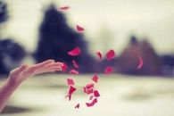 Let it go