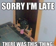 Sorry for my lateness