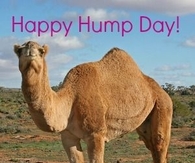 Happy Hump Day