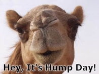 Hey its Hump Day