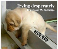 Get over Wednesday